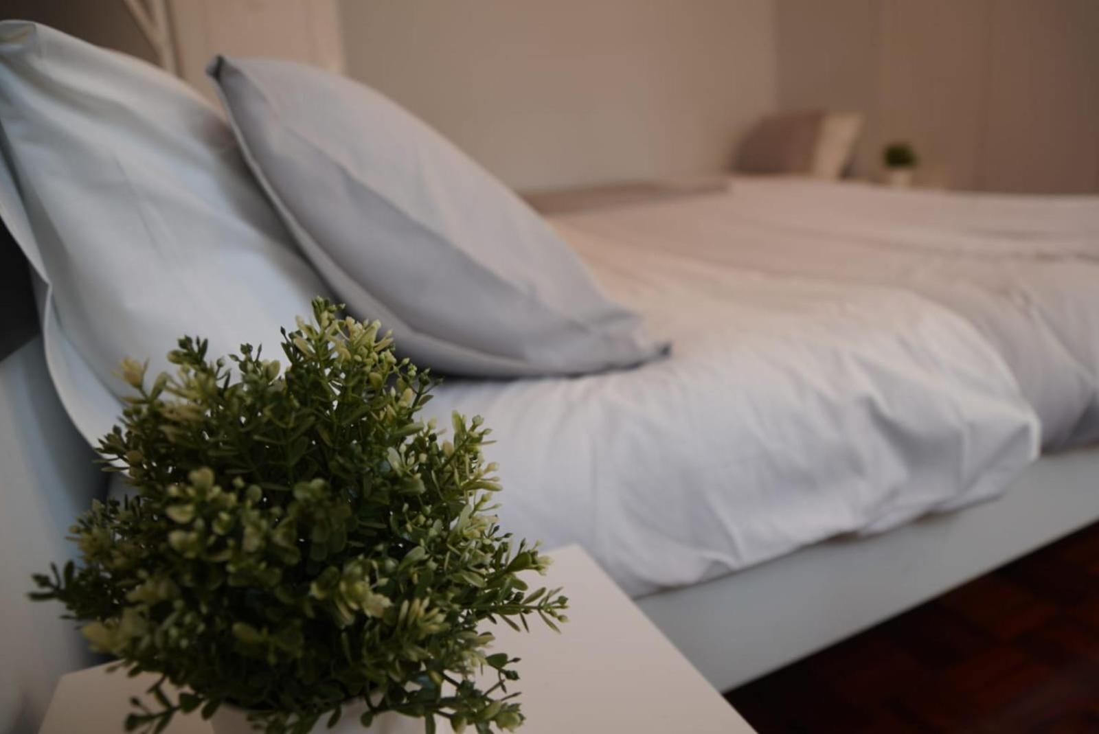 Bisengototo Homestay Lisboa Extérieur photo